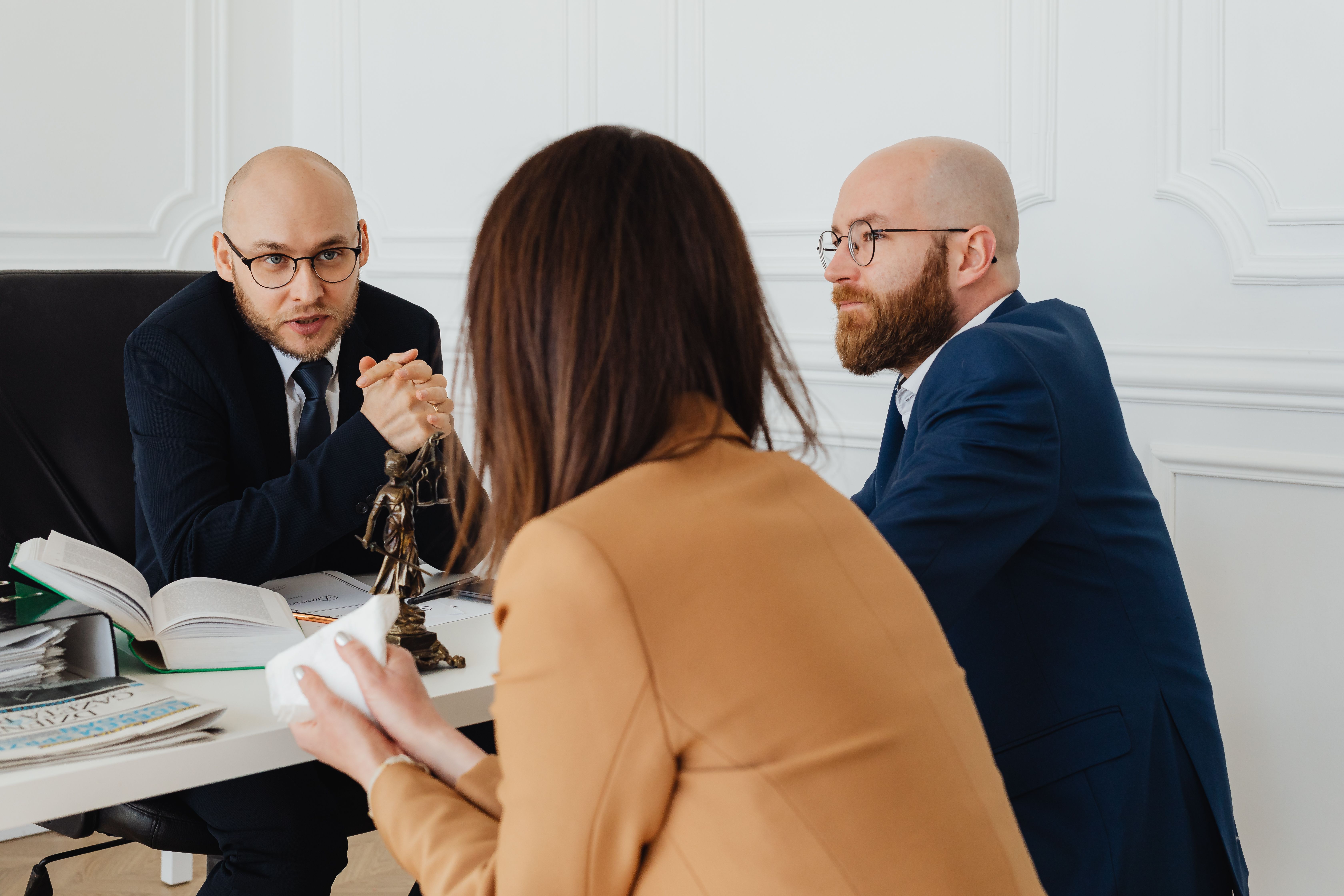 what does good government consultation look like